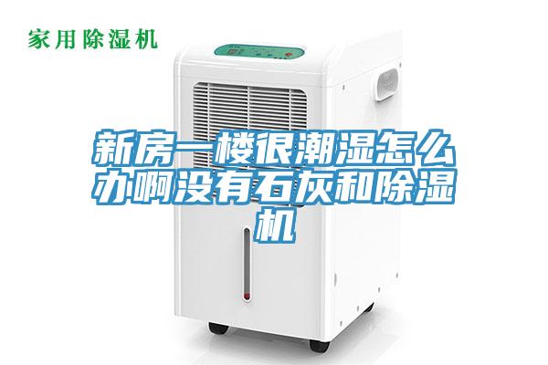 新房一楼很潮湿怎么办啊没有石灰和91免费网站在线观看