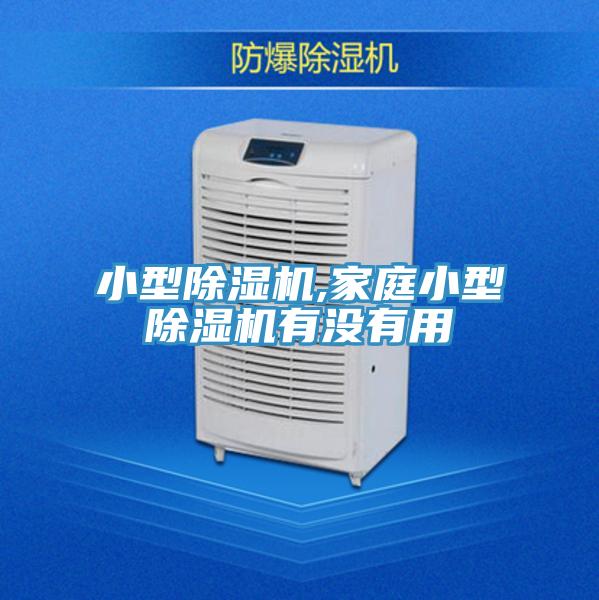 小型91免费网站在线观看,家庭小型91免费网站在线观看有没有用