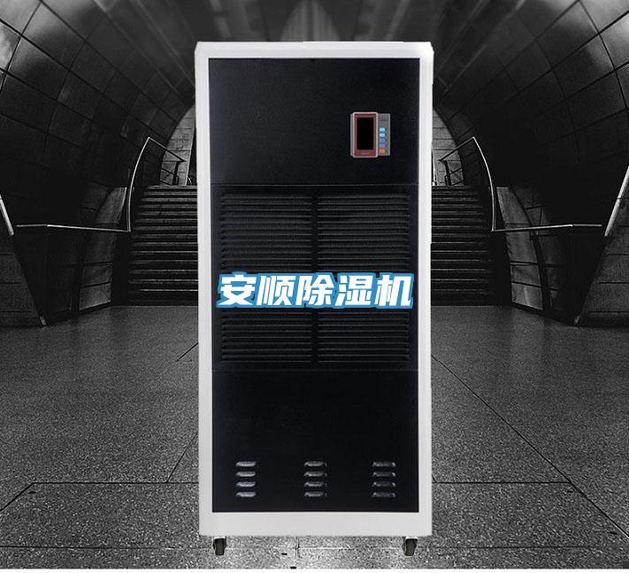 安顺91免费网站在线观看