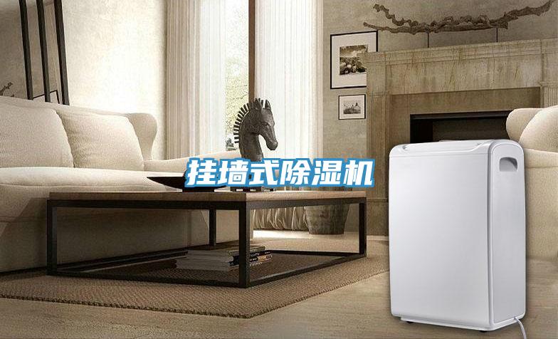 挂墙式91免费网站在线观看