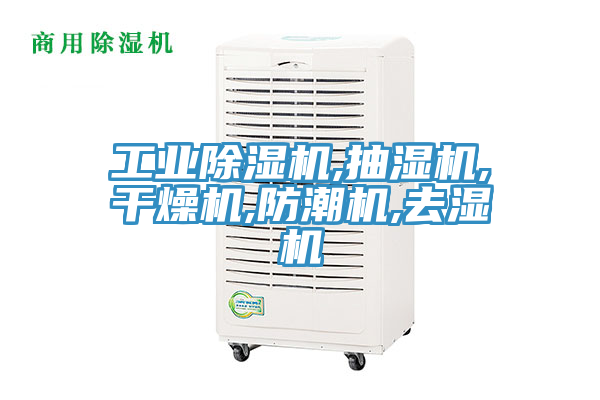 工业91免费网站在线观看,抽湿机,干燥机,防潮机,去湿机