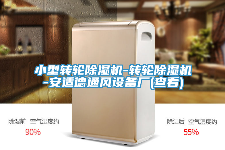 小型转轮91免费网站在线观看-转轮91免费网站在线观看-安适德通风设备厂(查看)