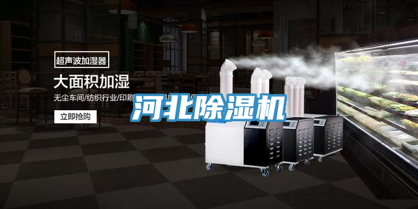 河北91免费网站在线观看