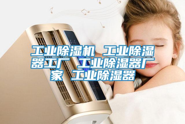 工业91免费网站在线观看 工业除湿器工厂 工业除湿器厂家 工业除湿器