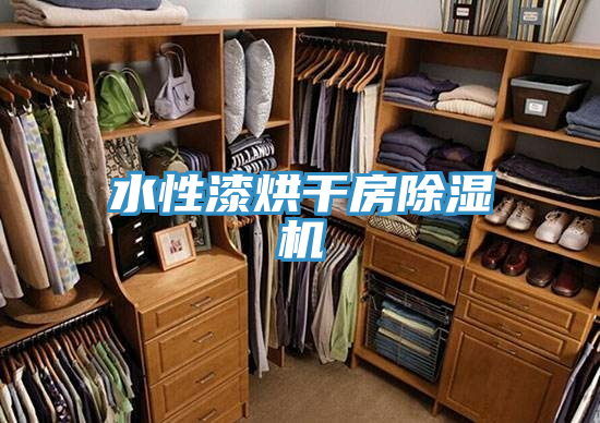 水性漆烘干房91免费网站在线观看