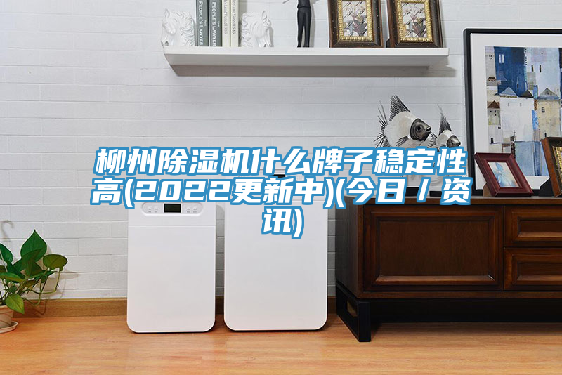 柳州91免费网站在线观看什么牌子稳定性高(2022更新中)(今日／资讯)
