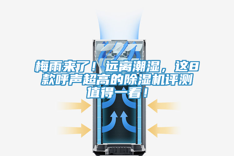 梅雨来了！远离潮湿，这8款呼声超高的91免费网站在线观看评测值得一看！