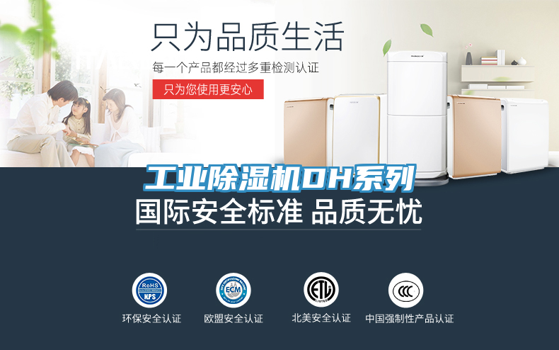 工业91免费网站在线观看DH系列