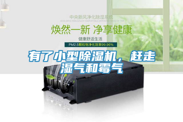 有了小型91免费网站在线观看，赶走湿气和霉气