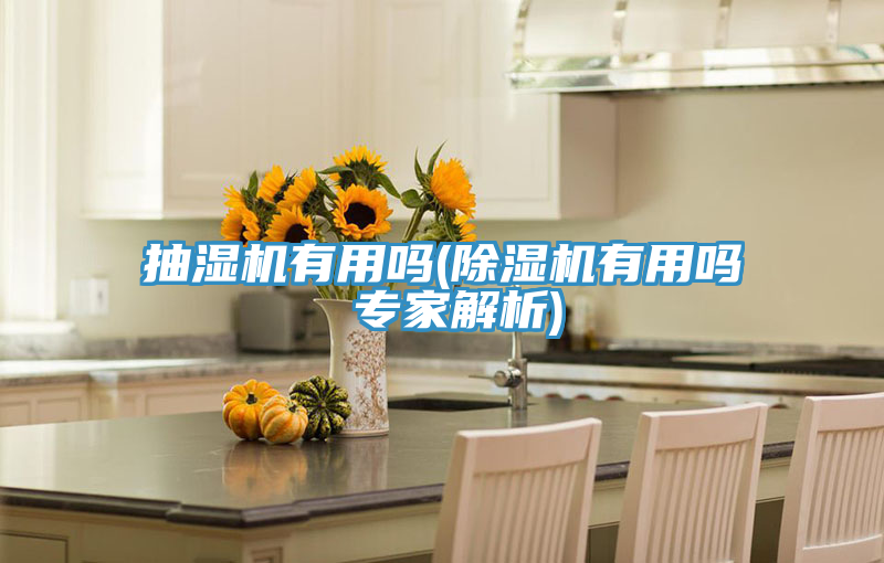 抽湿机有用吗(91免费网站在线观看有用吗 专家解析)