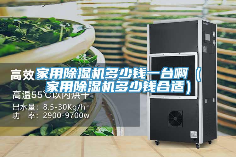 家用91免费网站在线观看多少钱一台啊（家用91免费网站在线观看多少钱合适）