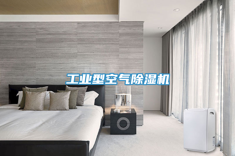 工业型空气91免费网站在线观看