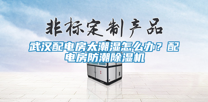 武汉配电房太潮湿怎么办？配电房防潮91免费网站在线观看