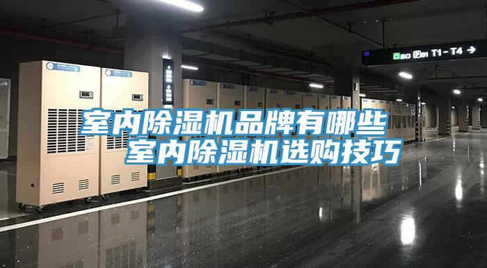 室内91免费网站在线观看品牌有哪些   室内91免费网站在线观看选购技巧