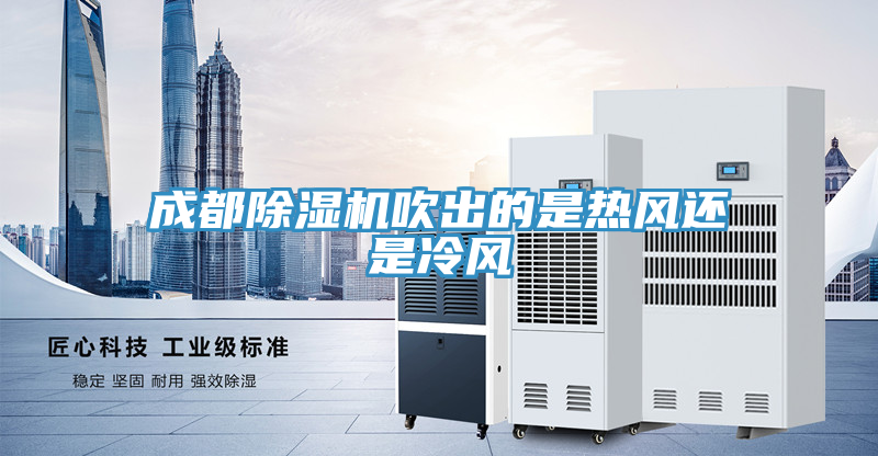 成都91免费网站在线观看吹出的是热风还是冷风