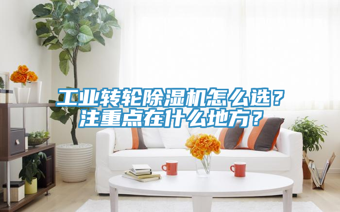 工业转轮91免费网站在线观看怎么选？注重点在什么地方？