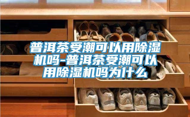 普洱茶受潮可以用91免费网站在线观看吗-普洱茶受潮可以用91免费网站在线观看吗为什么