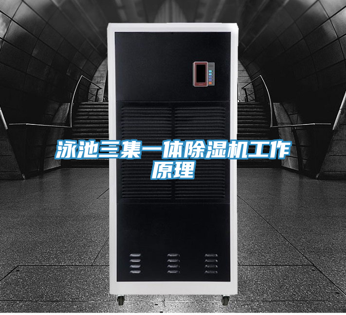 泳池三集一体91免费网站在线观看工作原理