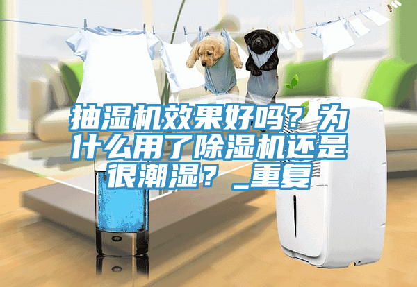 抽湿机效果好吗？为什么用了91免费网站在线观看还是很潮湿？_重复