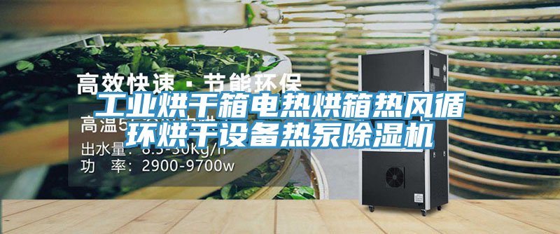 工业烘干箱电热烘箱热风循环烘干设备热泵91免费网站在线观看