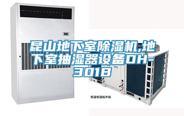 昆山地下室91免费网站在线观看,地下室抽湿器设备DH-301B