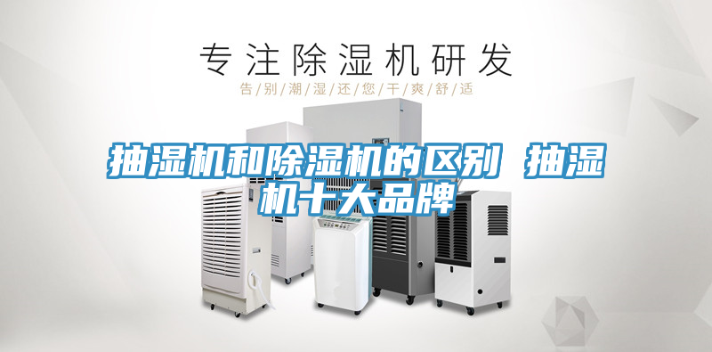 抽湿机和91免费网站在线观看的区别 抽湿机十大品牌