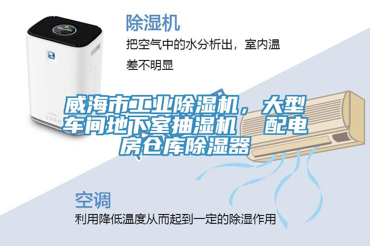 威海市工业91免费网站在线观看，大型车间地下室抽湿机  配电房仓库除湿器