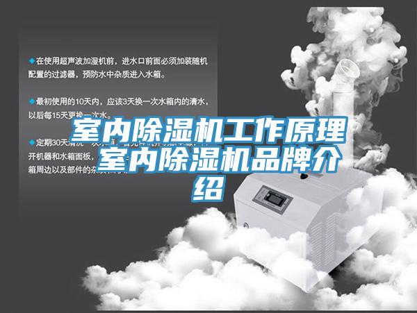 室内91免费网站在线观看工作原理 室内91免费网站在线观看品牌介绍