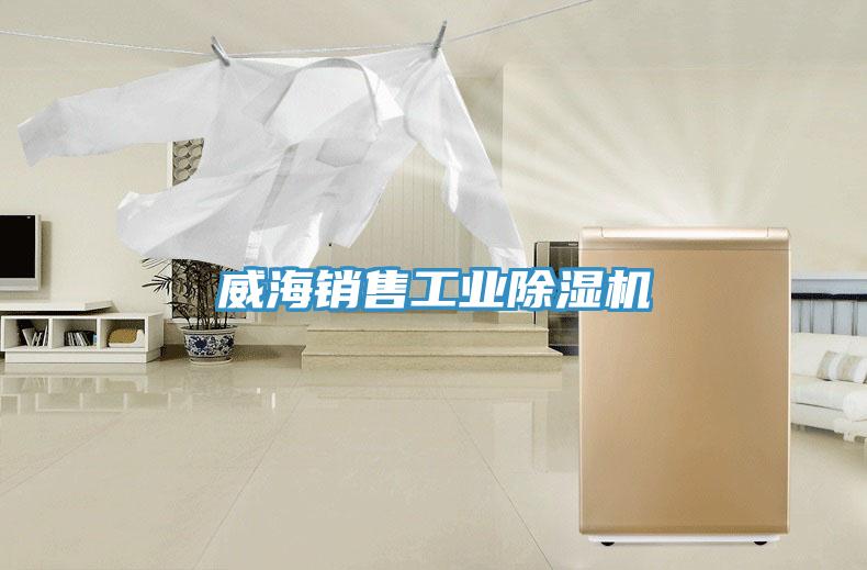 威海销售工业91免费网站在线观看