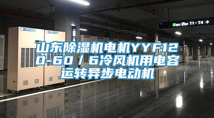 山东91免费网站在线观看电机YYF120-60／6冷风机用电容运转异步电动机