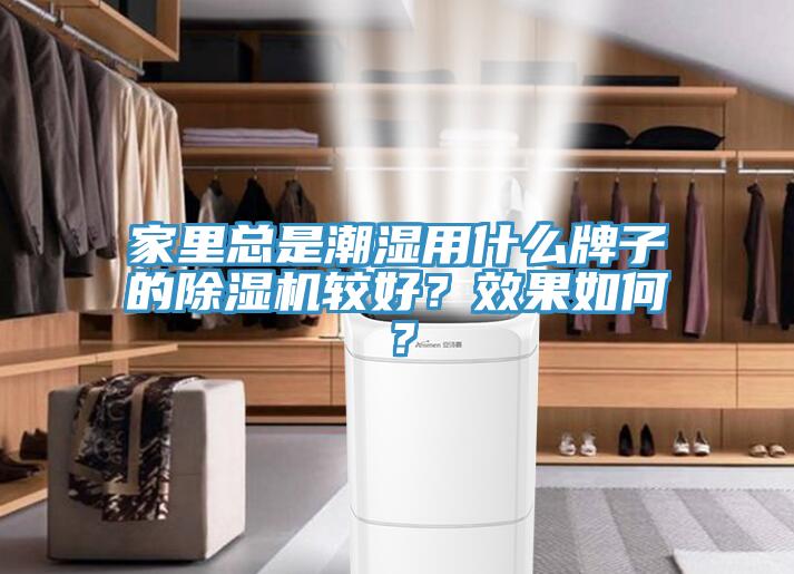 家里总是潮湿用什么牌子的91免费网站在线观看较好？效果如何？