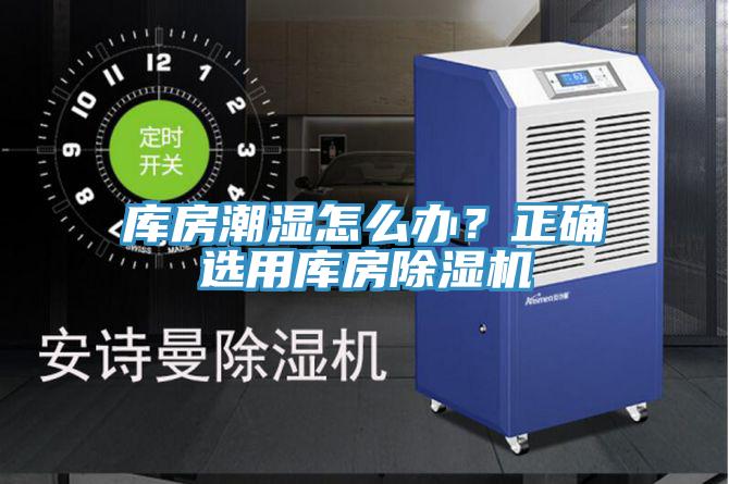 库房潮湿怎么办？正确选用库房91免费网站在线观看