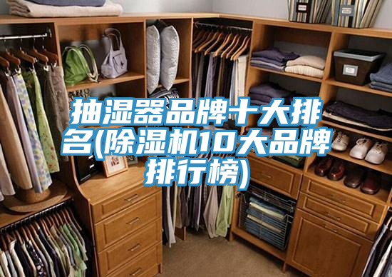 抽湿器品牌十大排名(91免费网站在线观看10大品牌排行榜)