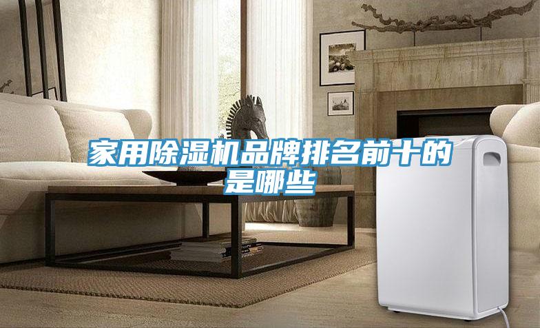 家用91免费网站在线观看品牌排名前十的是哪些