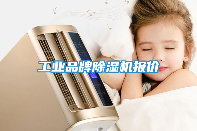工业品牌91免费网站在线观看报价
