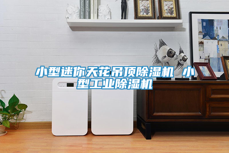 小型迷你天花吊顶91免费网站在线观看 小型工业91免费网站在线观看