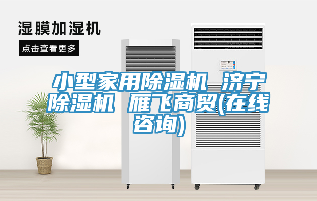 小型家用91免费网站在线观看 济宁91免费网站在线观看 雁飞商贸(在线咨询)