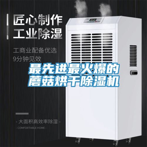 最先进最火爆的蘑菇烘干91免费网站在线观看