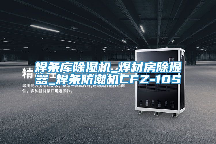 焊条库91免费网站在线观看_焊材房除湿器_焊条防潮机CFZ-10S