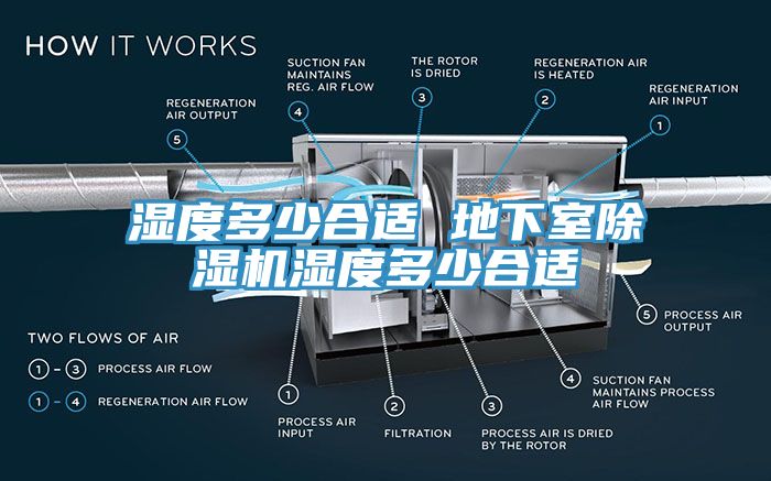 湿度多少合适 地下室91免费网站在线观看湿度多少合适