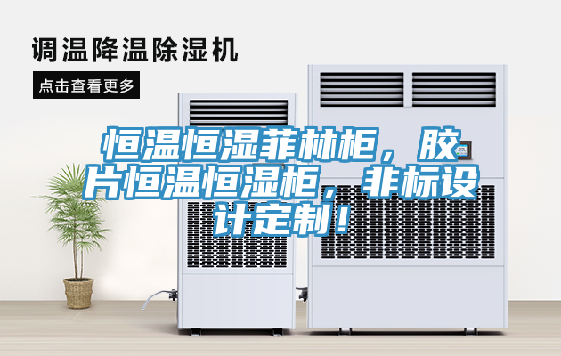 恒温恒湿菲林柜，胶片恒温恒湿柜，非标设计定制！
