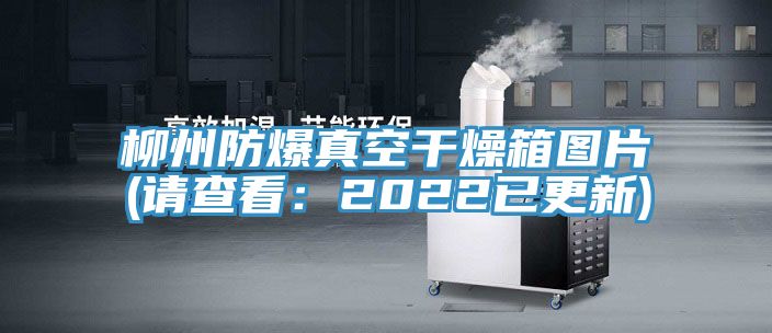 柳州防爆真空干燥箱图片(请查看：2022已更新)