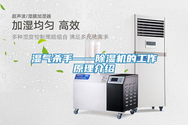 湿气杀手——91免费网站在线观看的工作原理介绍