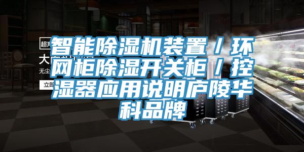 智能91免费网站在线观看装置／环网柜除湿开关柜／控湿器应用说明庐陵华科品牌