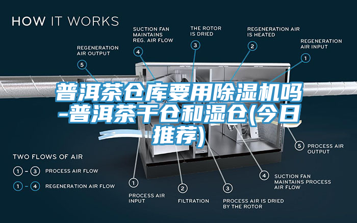 普洱茶仓库要用91免费网站在线观看吗-普洱茶干仓和湿仓(今日推荐)