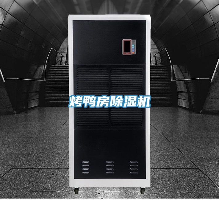 烤鸭房91免费网站在线观看