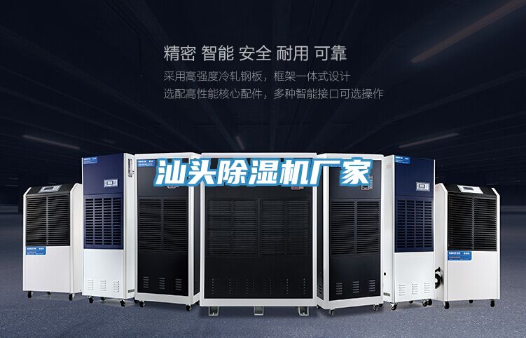 汕头91免费网站在线观看厂家