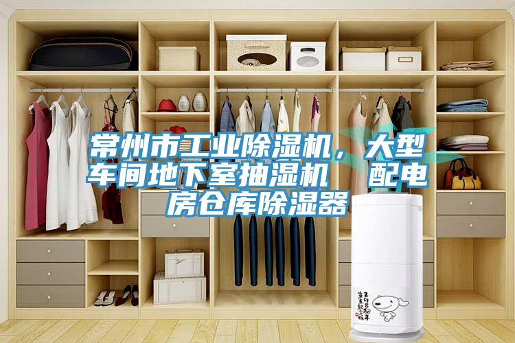 常州市工业91免费网站在线观看，大型车间地下室抽湿机  配电房仓库除湿器