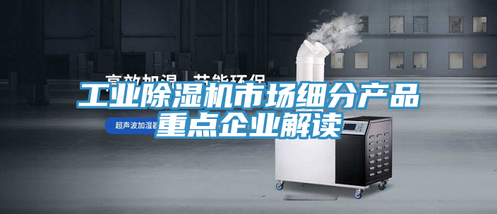 工业91免费网站在线观看市场细分产品重点企业解读
