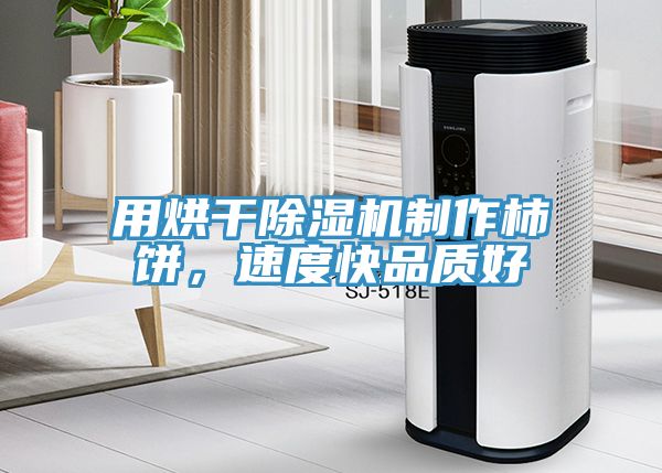 用烘干91免费网站在线观看制作柿饼，速度快品质好